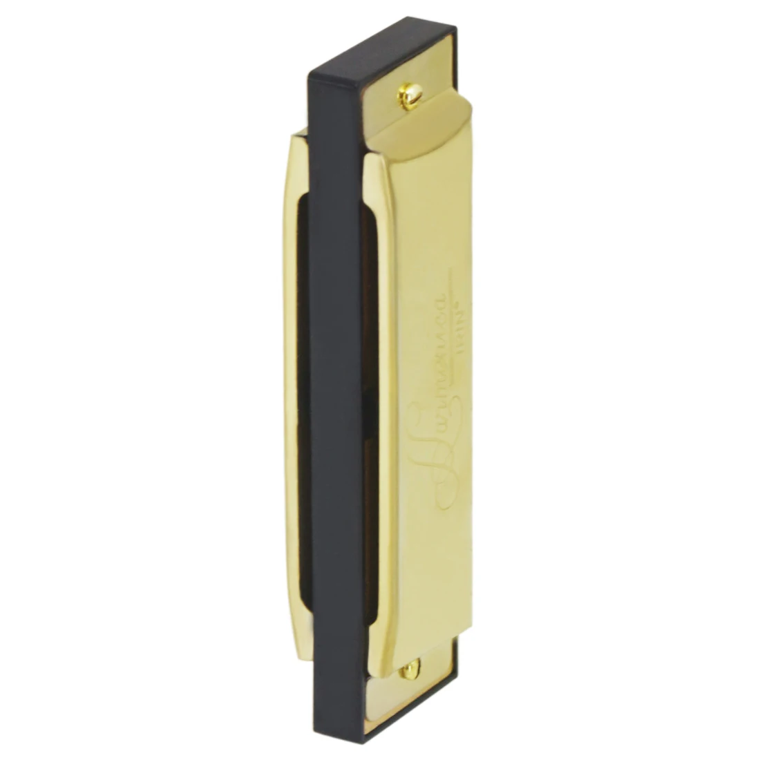 IRIN Harmonica 10 Hole 20 Tone - مراجعة Musical Instruments Names وسعره