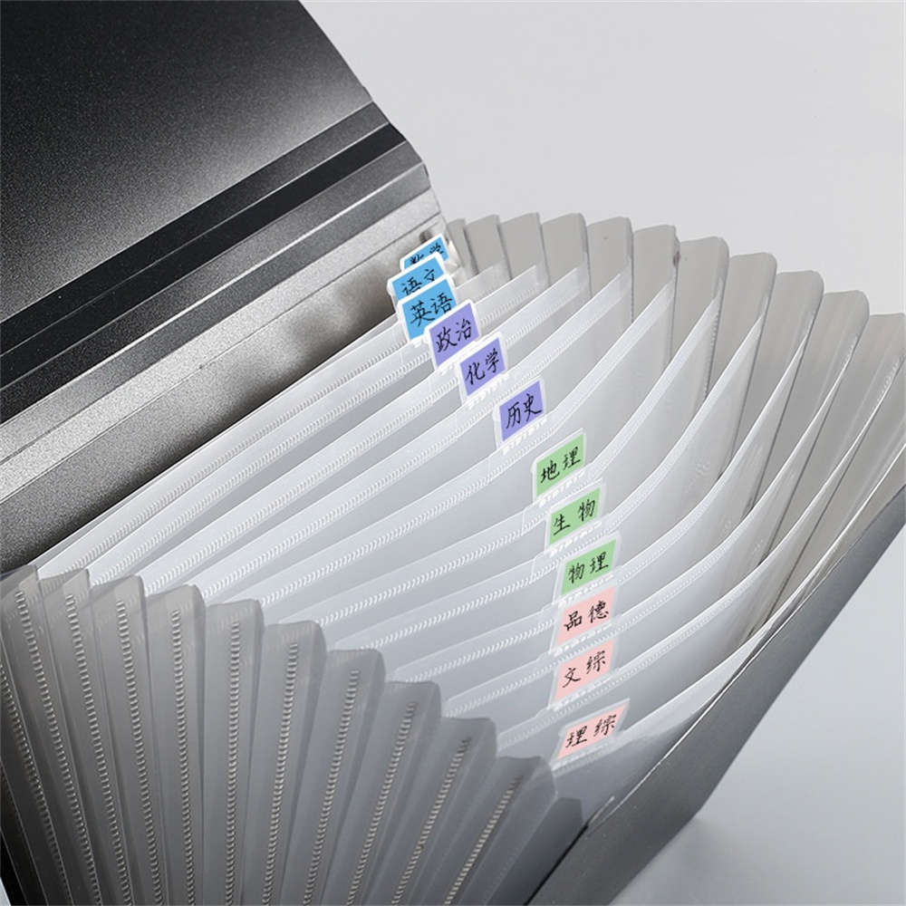 A4 File Paper Folder Large Cap - مراجعة Musical Instruments List وسعره