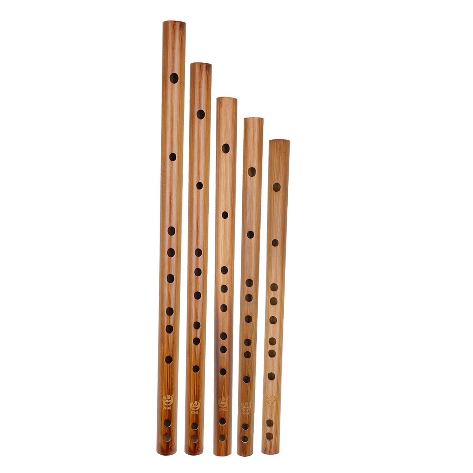Unique Birthday Gift ,Indian W - مراجعة Musical Instrument Indian وسعره