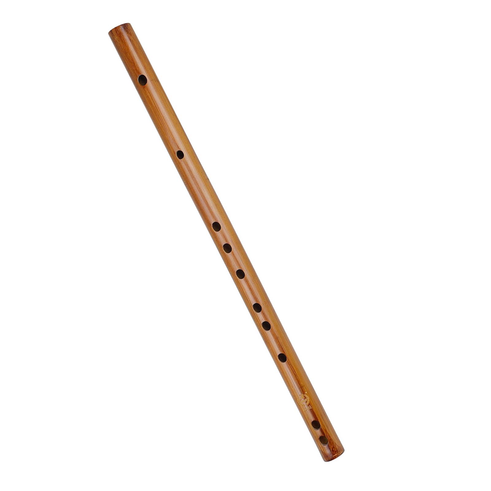 Unique Birthday Gift ,Indian W - مراجعة Musical Instrument Indian وسعره