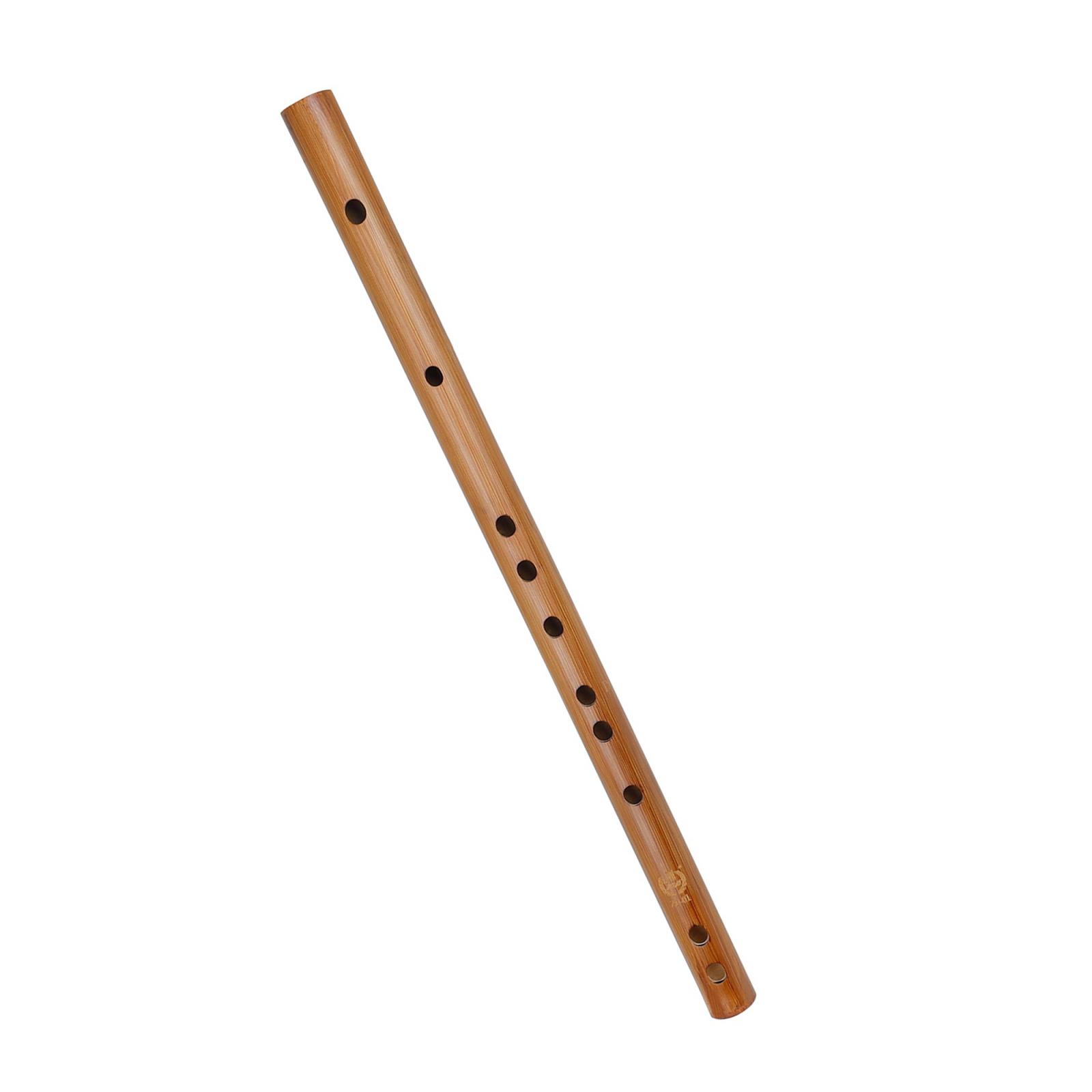 Unique Birthday Gift ,Indian W - مراجعة Musical Instrument Indian وسعره
