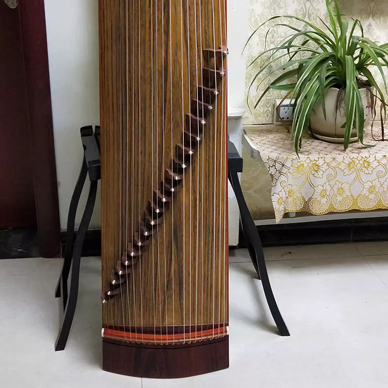 Guzheng Instrument Chinese Woo - مراجعة Musical Instrument Guzheng وسعره