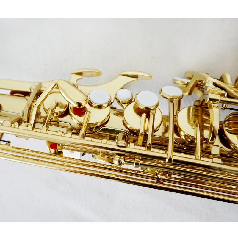 Red Colour Professional Alto S - مراجعة Musical Instrument Logo وسعره